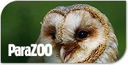 paraZOO
